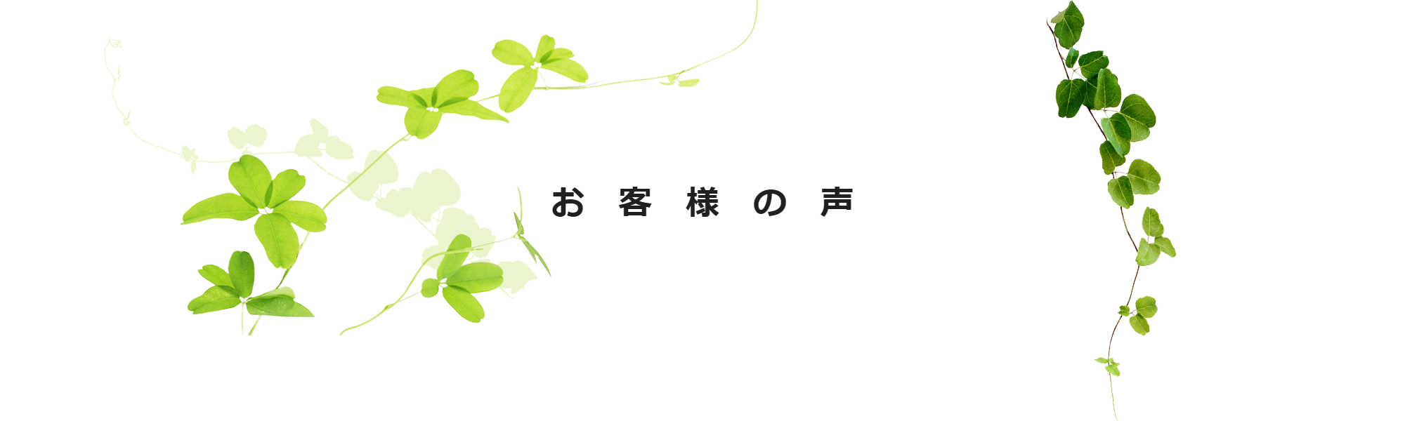 お客様の声