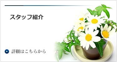 スタッフ紹介